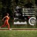 Understanding the Basics of High-Intensity Cardiovascular Exercise