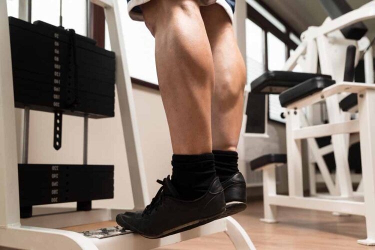 Calf Raises (Standing, Seated)