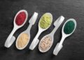 Plant-Based Protein Powders