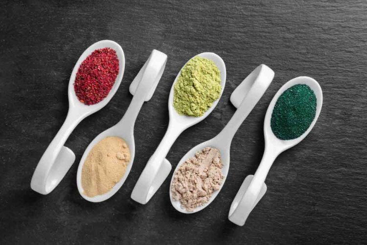 Plant-Based Protein Powders