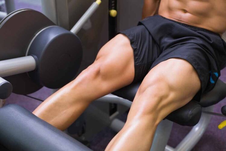 Leg Extensions